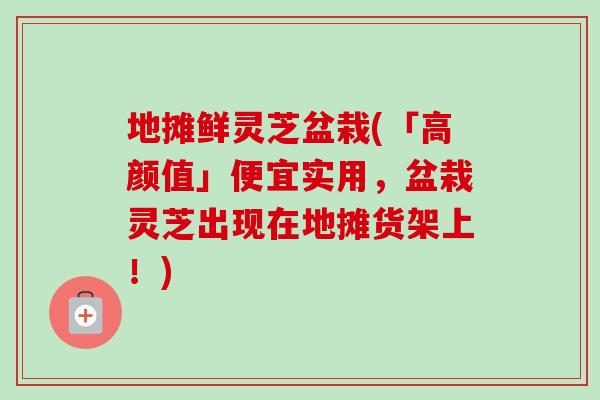 地摊鲜灵芝盆栽(「高颜值」便宜实用,盆栽灵芝出现在地摊货架上!) 地摊鲜灵芝盆栽(「高颜值」便宜实用,盆栽灵芝出现在地摊货架上!)