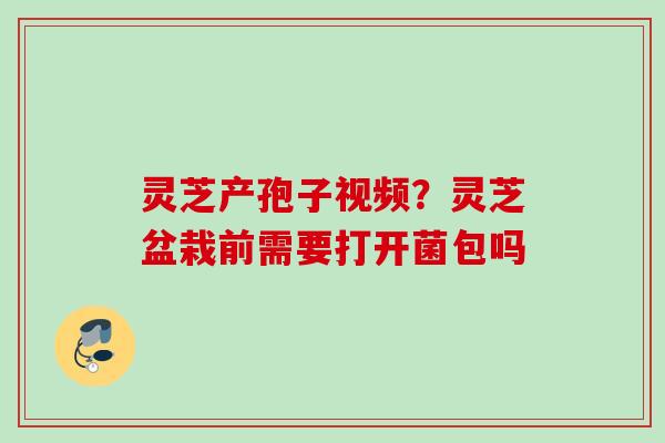 灵芝产孢子视频?灵芝盆栽前需要打开菌包吗 灵芝产孢子视频?灵芝盆栽前需要打开菌包吗
