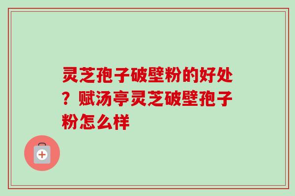 灵芝孢子破壁粉的好处?赋汤亭灵芝破壁孢子粉怎么样 灵芝孢子破壁粉的好处?赋汤亭灵芝破壁孢子粉怎么样