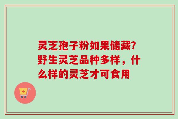 灵芝孢子粉如果储藏？野生灵芝品种多样，什么样的灵芝才可食用