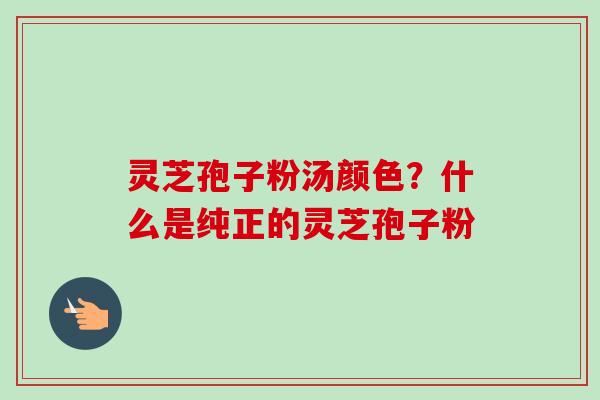 灵芝孢子粉汤颜色？什么是纯正的灵芝孢子粉