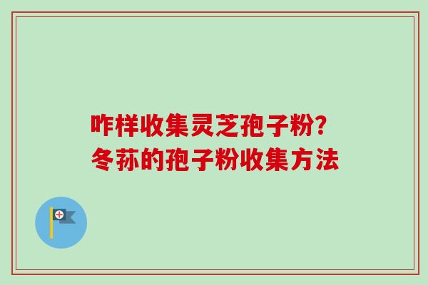 咋样收集灵芝孢子粉?冬荪的孢子粉收集方法 咋样收集灵芝孢子粉?冬荪的孢子粉收集方法