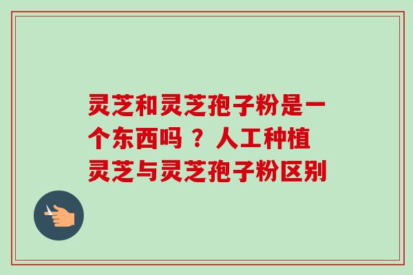 灵芝和灵芝孢子粉是一个东西吗 ?人工种植灵芝与灵芝孢子粉区别 灵芝和灵芝孢子粉是一个东西吗 ?人工种植灵芝与灵芝孢子粉区别
