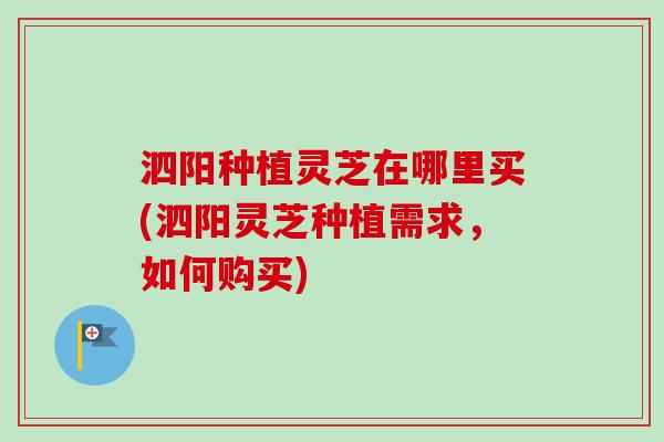 泗阳种植灵芝在哪里买(泗阳灵芝种植需求,如何购买) 泗阳种植灵芝在哪里买(泗阳灵芝种植需求,如何购买)