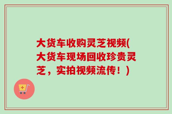 大货车收购灵芝视频(大货车现场回收珍贵灵芝,实拍视频流传!) 大货车收购灵芝视频(大货车现场回收珍贵灵芝,实拍视频流传!)