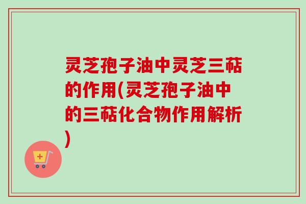 灵芝孢子油中灵芝三萜的作用(灵芝孢子油中的三萜化合物作用解析) 灵芝孢子油中灵芝三萜的作用(灵芝孢子油中的三萜化合物作用解析)