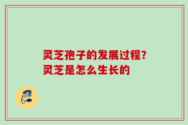 灵芝孢子的发展过程?灵芝是怎么生长的 灵芝孢子的发展过程?灵芝是怎么生长的
