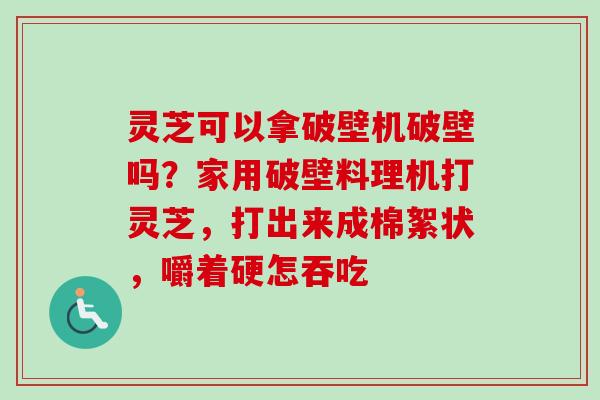 灵芝可以拿破壁机破壁吗?家用破壁料理机打灵芝,打出来成棉絮状,嚼着硬怎吞吃 灵芝可以拿破壁机破壁吗?家用破壁料理机打灵芝,打出来成棉絮状,嚼着硬怎吞吃