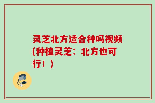 灵芝北方适合种吗视频(种植灵芝:北方也可行!) 灵芝北方适合种吗视频(种植灵芝:北方也可行!)