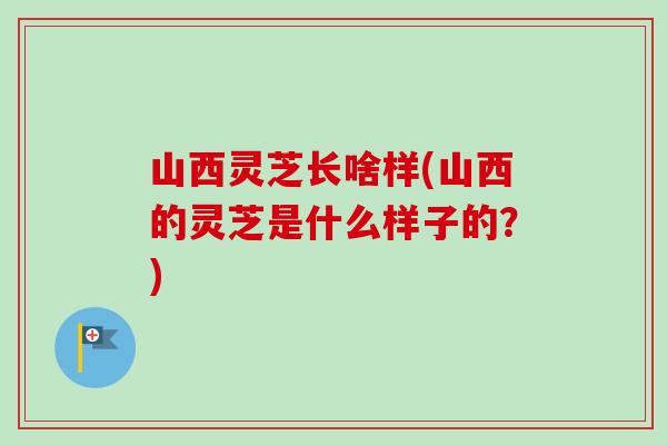 山西灵芝长啥样(山西的灵芝是什么样子的?) 山西灵芝长啥样(山西的灵芝是什么样子的?)