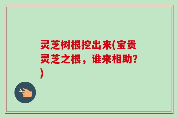 灵芝树根挖出来(宝贵灵芝之根,谁来相助?) 灵芝树根挖出来(宝贵灵芝之根,谁来相助?)