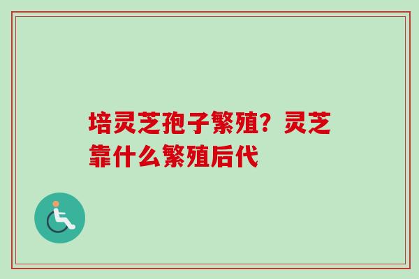 培灵芝孢子繁殖?灵芝靠什么繁殖后代 培灵芝孢子繁殖?灵芝靠什么繁殖后代