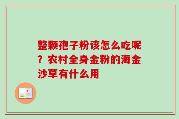 整颗孢子粉该怎么吃呢?农村全身金粉的海金沙草有什么用 整颗孢子粉该怎么吃呢?农村全身金粉的海金沙草有什么用