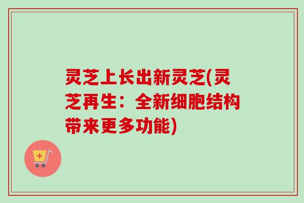灵芝上长出新灵芝(灵芝再生:全新细胞结构带来更多功能) 灵芝上长出新灵芝(灵芝再生:全新细胞结构带来更多功能)
