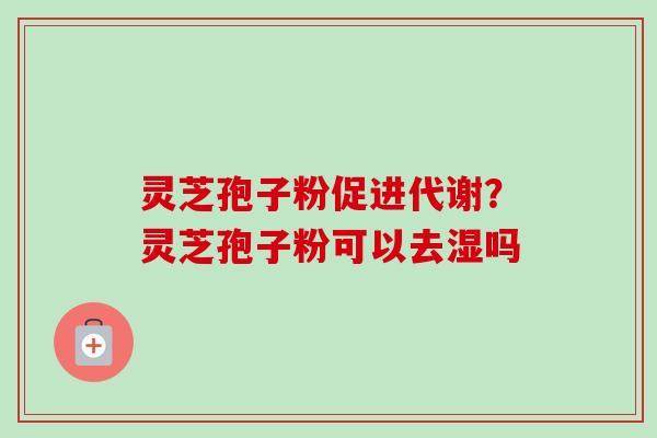 灵芝孢子粉促进代谢？灵芝孢子粉可以去湿吗