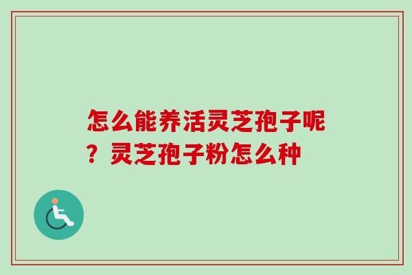 怎么能养活灵芝孢子呢?灵芝孢子粉怎么种 怎么能养活灵芝孢子呢?灵芝孢子粉怎么种