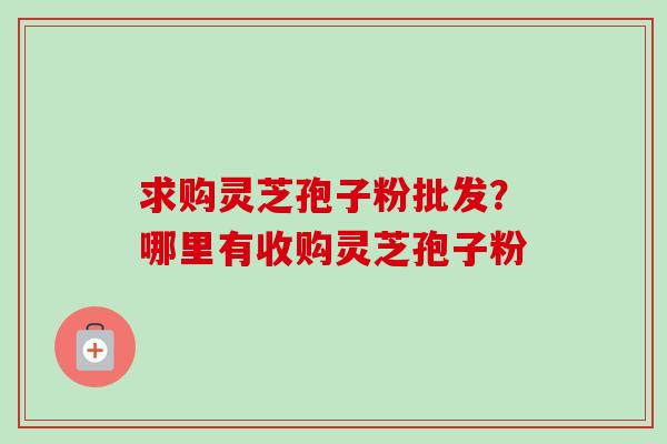 求购灵芝孢子粉批发？哪里有收购灵芝孢子粉