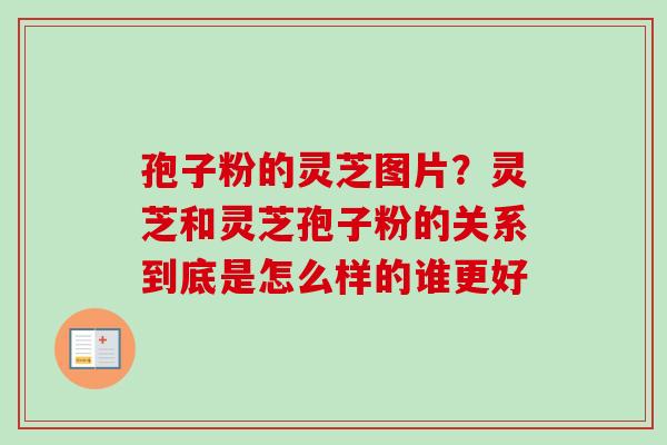 孢子粉的灵芝图片?灵芝和灵芝孢子粉的关系到底是怎么样的谁更好 孢子粉的灵芝图片?灵芝和灵芝孢子粉的关系到底是怎么样的谁更好