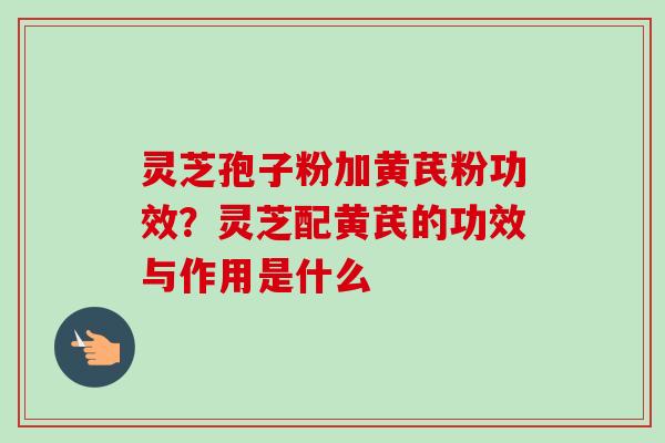灵芝孢子粉加黄芪粉功效?灵芝配黄芪的功效与作用是什么 灵芝孢子粉加黄芪粉功效?灵芝配黄芪的功效与作用是什么