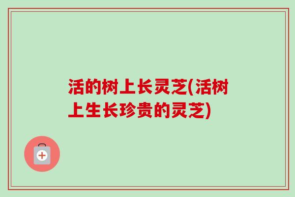 活的树上长灵芝(活树上生长珍贵的灵芝)