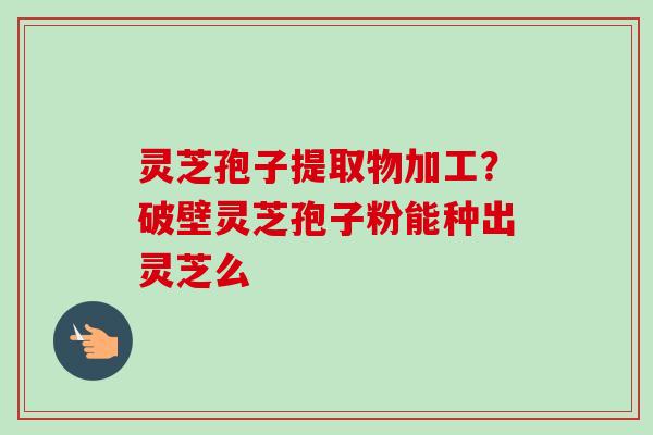灵芝孢子提取物加工？破壁灵芝孢子粉能种出灵芝么