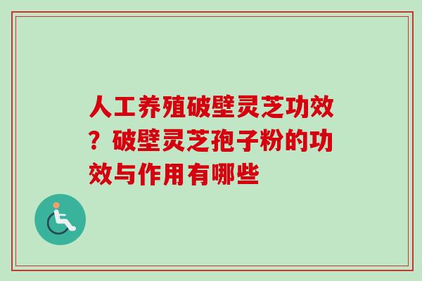 人工养殖破壁灵芝功效?破壁灵芝孢子粉的功效与作用有哪些 人工养殖破壁灵芝功效?破壁灵芝孢子粉的功效与作用有哪些