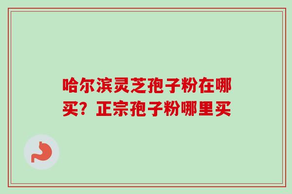 哈尔滨灵芝孢子粉在哪买？正宗孢子粉哪里买