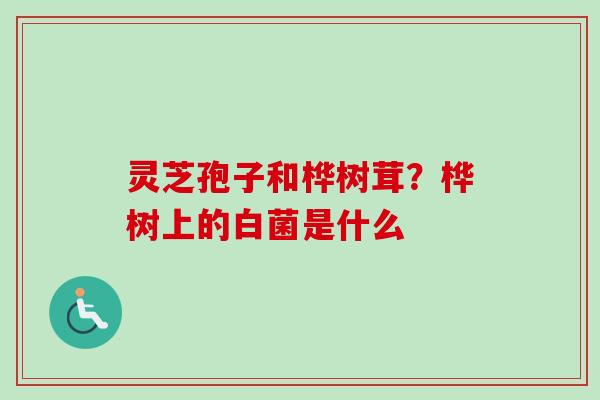 灵芝孢子和桦树茸?桦树上的白菌是什么 灵芝孢子和桦树茸?桦树上的白菌是什么