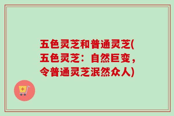 五色灵芝和普通灵芝(五色灵芝:自然巨变,令普通灵芝泯然众人) 五色灵芝和普通灵芝(五色灵芝:自然巨变,令普通灵芝泯然众人)