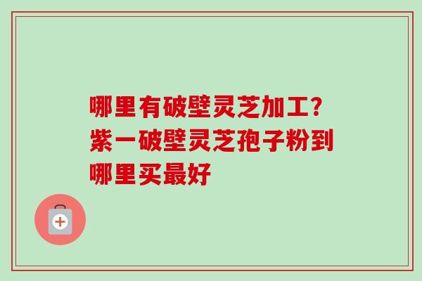 哪里有破壁灵芝加工？紫一破壁灵芝孢子粉到哪里买好
