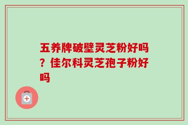 五养牌破壁灵芝粉好吗?佳尔科灵芝孢子粉好吗 五养牌破壁灵芝粉好吗?佳尔科灵芝孢子粉好吗