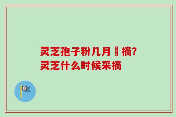 灵芝孢子粉几月釆摘？灵芝什么时候采摘