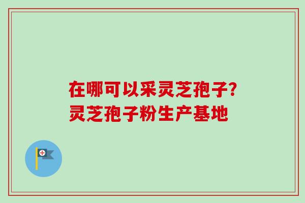 在哪可以采灵芝孢子?灵芝孢子粉生产基地 在哪可以采灵芝孢子?灵芝孢子粉生产基地