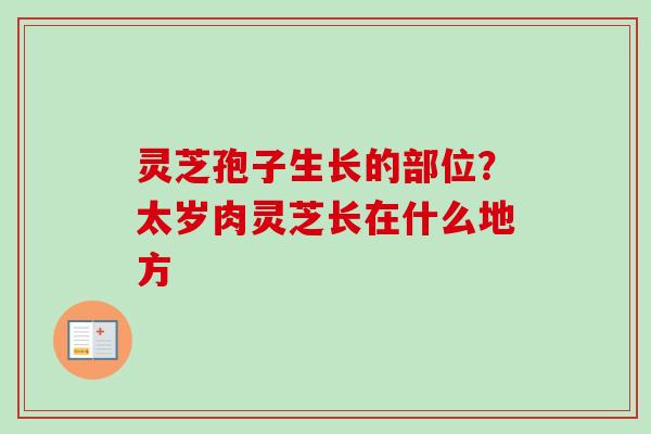 灵芝孢子生长的部位?太岁肉灵芝长在什么地方 灵芝孢子生长的部位?太岁肉灵芝长在什么地方