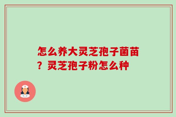 怎么养大灵芝孢子菌苗?灵芝孢子粉怎么种 怎么养大灵芝孢子菌苗?灵芝孢子粉怎么种