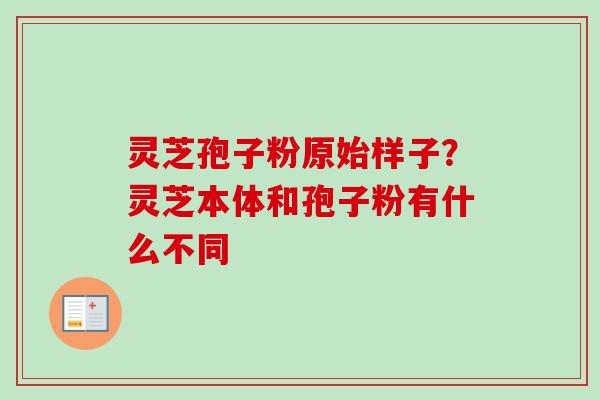 灵芝孢子粉原始样子？灵芝本体和孢子粉有什么不同