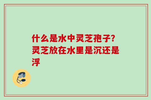 什么是水中灵芝孢子？灵芝放在水里是沉还是浮