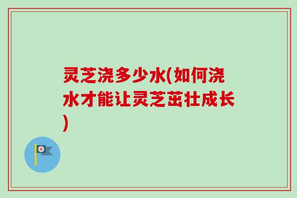 灵芝浇多少水(如何浇水才能让灵芝茁壮成长) 灵芝浇多少水(如何浇水才能让灵芝茁壮成长)