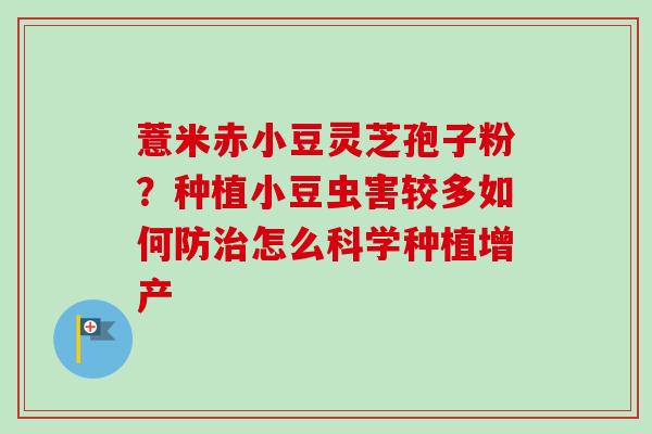 薏米赤小豆灵芝孢子粉？种植小豆虫害较多如何防怎么科学种植增产