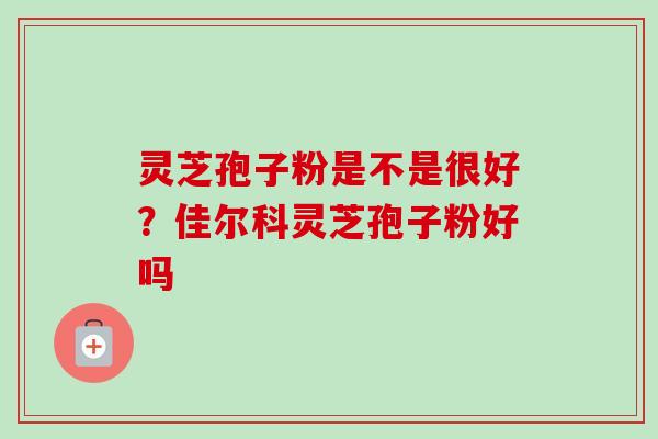 灵芝孢子粉是不是很好？佳尔科灵芝孢子粉好吗