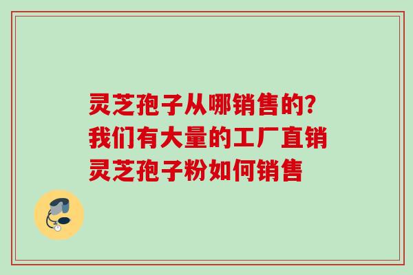 灵芝孢子从哪销售的?我们有大量的工厂直销灵芝孢子粉如何销售 灵芝孢子从哪销售的?我们有大量的工厂直销灵芝孢子粉如何销售