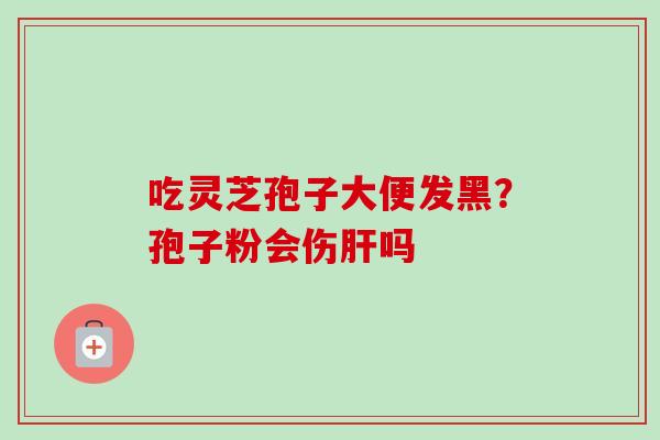 吃灵芝孢子大便发黑?孢子粉会伤吗 吃灵芝孢子大便发黑?孢子粉会伤吗