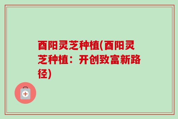 酉阳灵芝种植(酉阳灵芝种植:开创致富新路径) 酉阳灵芝种植(酉阳灵芝种植:开创致富新路径)
