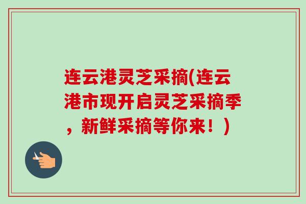 连云港灵芝采摘(连云港市现开启灵芝采摘季,新鲜采摘等你来!) 连云港灵芝采摘(连云港市现开启灵芝采摘季,新鲜采摘等你来!)
