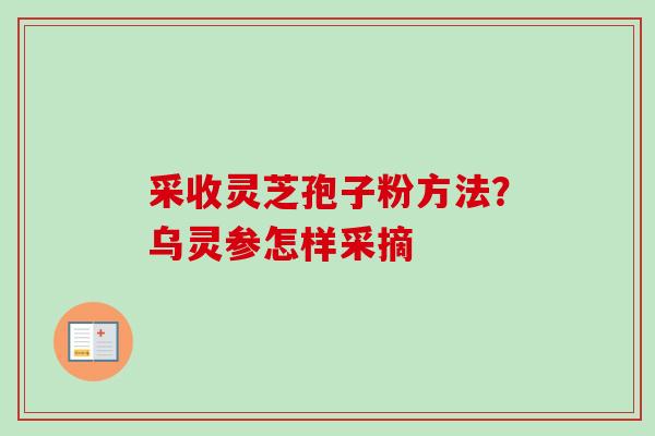 采收灵芝孢子粉方法？乌灵参怎样采摘