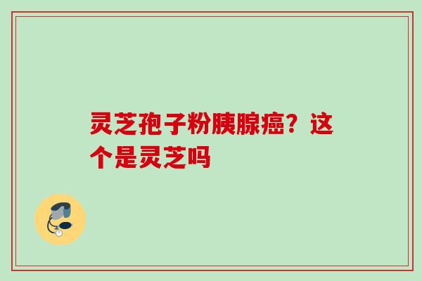 灵芝孢子粉胰腺？这个是灵芝吗