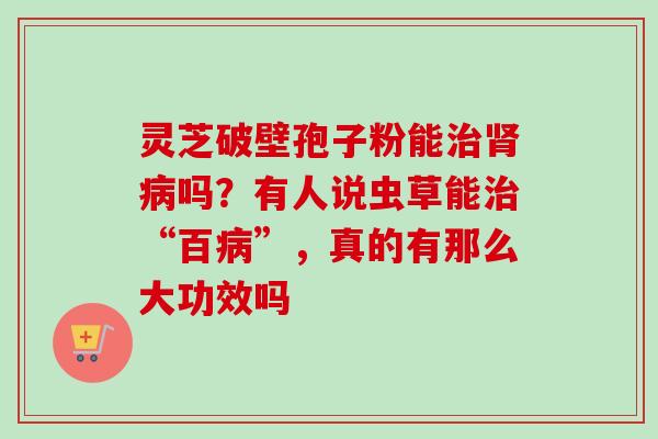灵芝破壁孢子粉能吗?有人说虫草能“百”,真的有那么大功效吗 灵芝破壁孢子粉能吗?有人说虫草能“百”,真的有那么大功效吗