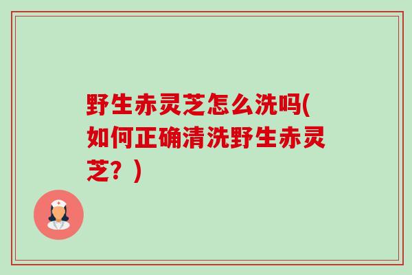 野生赤灵芝怎么洗吗(如何正确清洗野生赤灵芝?) 野生赤灵芝怎么洗吗(如何正确清洗野生赤灵芝?)
