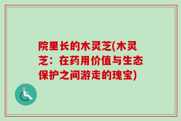 院里长的木灵芝(木灵芝:在药用价值与生态保护之间游走的瑰宝) 院里长的木灵芝(木灵芝:在药用价值与生态保护之间游走的瑰宝)
