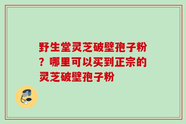 野生堂灵芝破壁孢子粉？哪里可以买到正宗的灵芝破壁孢子粉